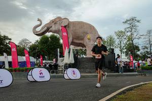 BIB: 
                            <button type="button" onclick="openModal(26528602)" class="btn btn-primary btn-sm float-right btn-popup" data-toggle="modal" data-target=".modal-high-quality">
                        <i class="fas fa-shopping-cart"></i> Add to Cart
                    </button>
                                            <button type="button" onclick="isThisMe(26528602, true)" class="btn btn-success btn-sm float-right btn-popup btn-isme hidden" data-toggle="tooltip" data-placement="bottom" title="นี่คือรูปของคุณใช่ไหม คลิกที่นี่เพื่อเอาเข้าอัลบั้ม">
                        <i class="fas fa-plus"></i> Add to album
                    </button>
                    <button type="button" onclick="isThisMe(26528602, false)" class="btn btn-warning btn-sm float-right btn-popup btn-isnotme hidden">
                        <i class="fas fa-ban"></i> Remove from album
                    </button>